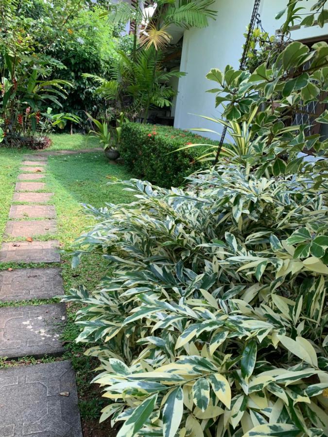 Tranquil Private Villa Near Bentota Beach Eksteriør billede