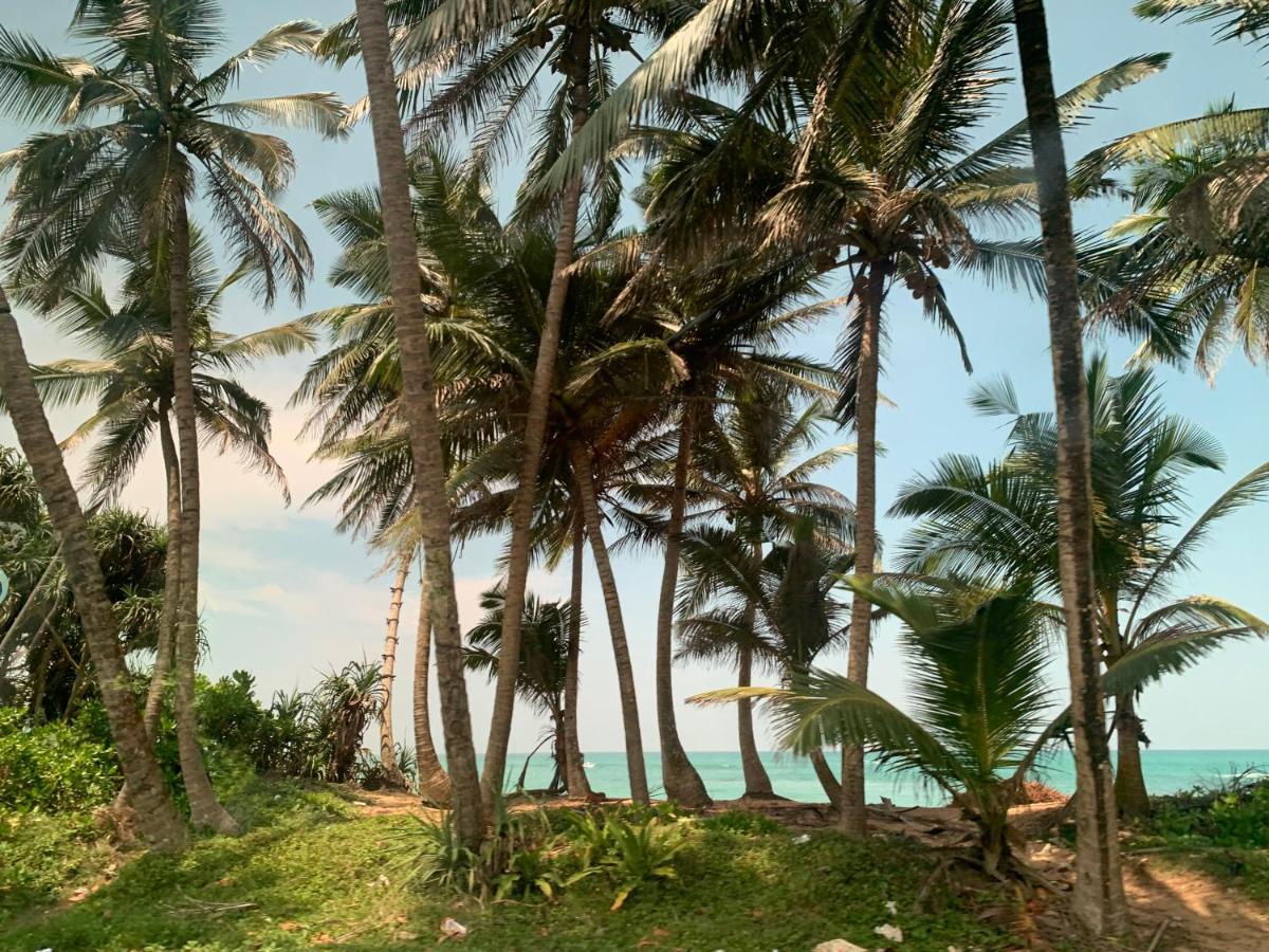 Tranquil Private Villa Near Bentota Beach Eksteriør billede