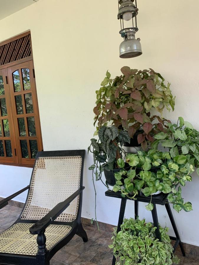 Tranquil Private Villa Near Bentota Beach Eksteriør billede