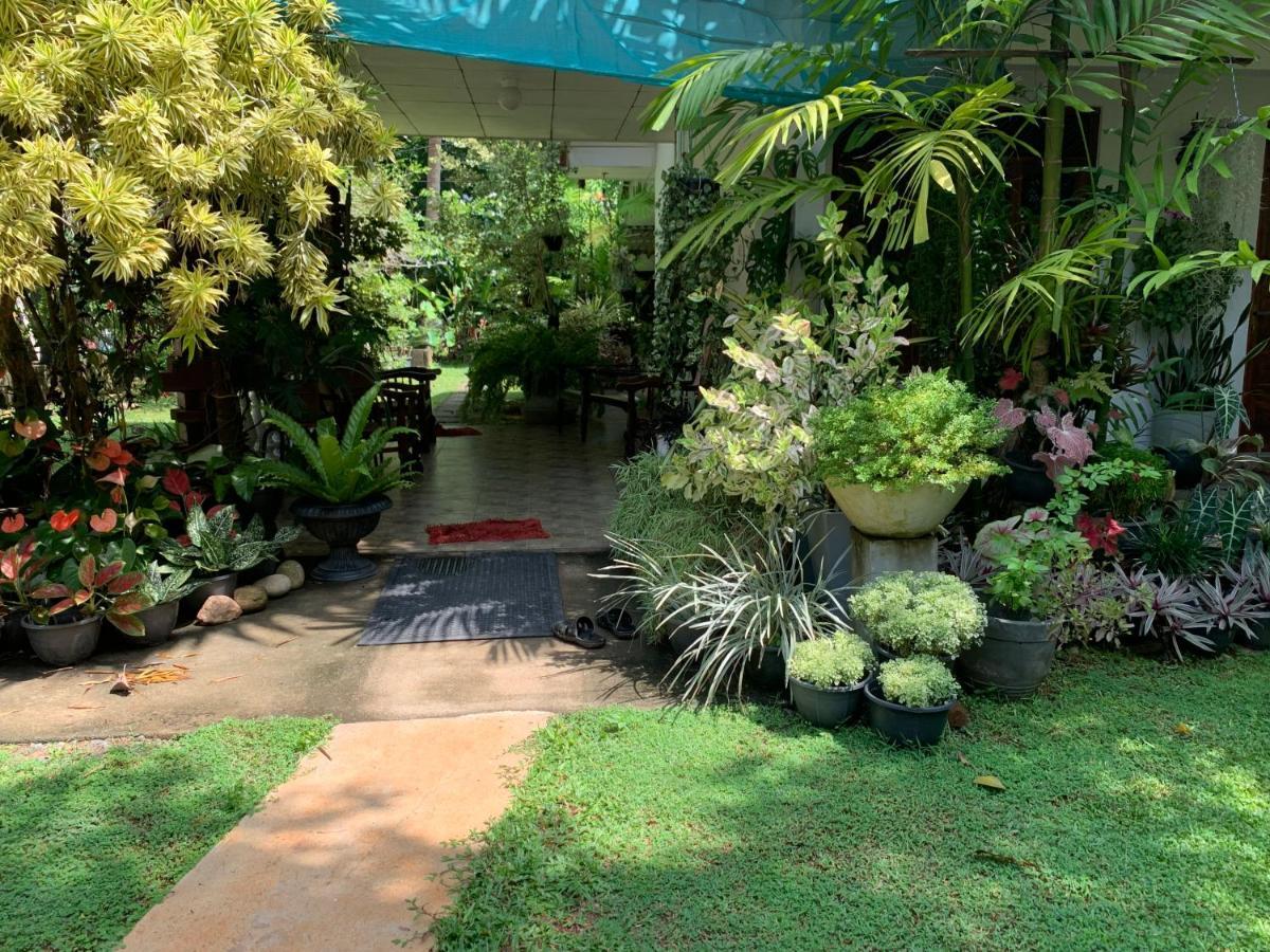 Tranquil Private Villa Near Bentota Beach Eksteriør billede