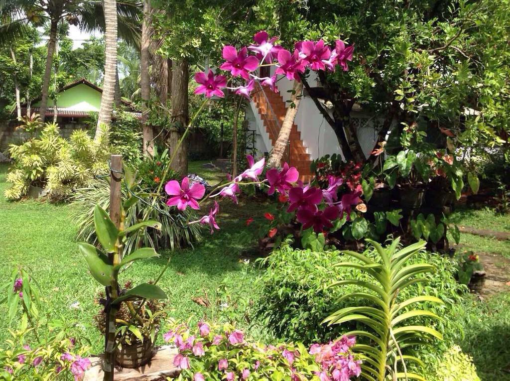 Tranquil Private Villa Near Bentota Beach Eksteriør billede